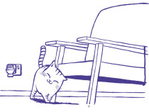 Katzensitter Urlaub
