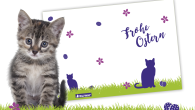 Osterkarte Freebie