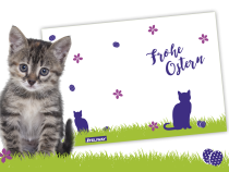 Osterkarte Freebie